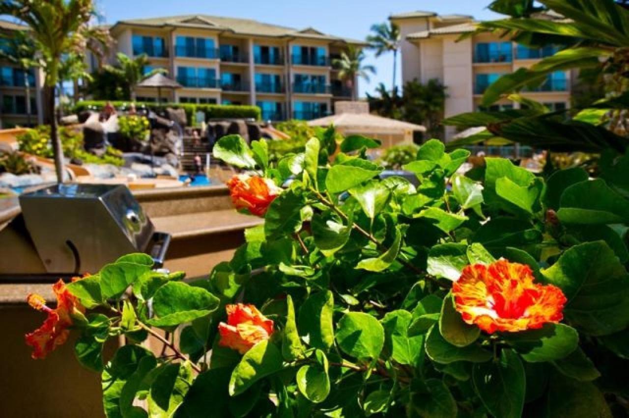 Waipouli Beach Resort Exquisite Ground Floor Pool View Kapa'a Exterior photo
